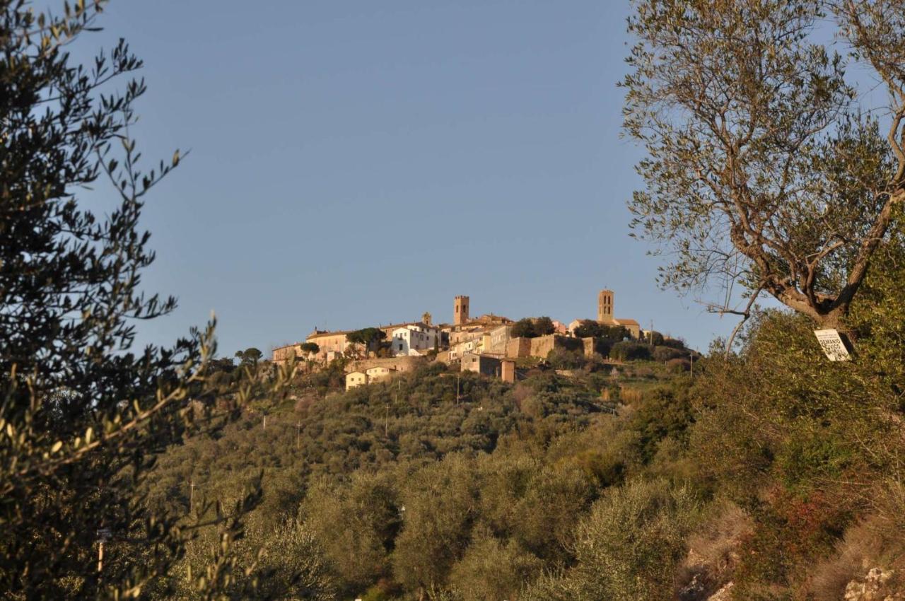 Le Logge Casa Vacanze Montepescali Eksteriør billede